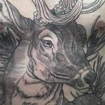 Tattoos - Deer torso - 114384